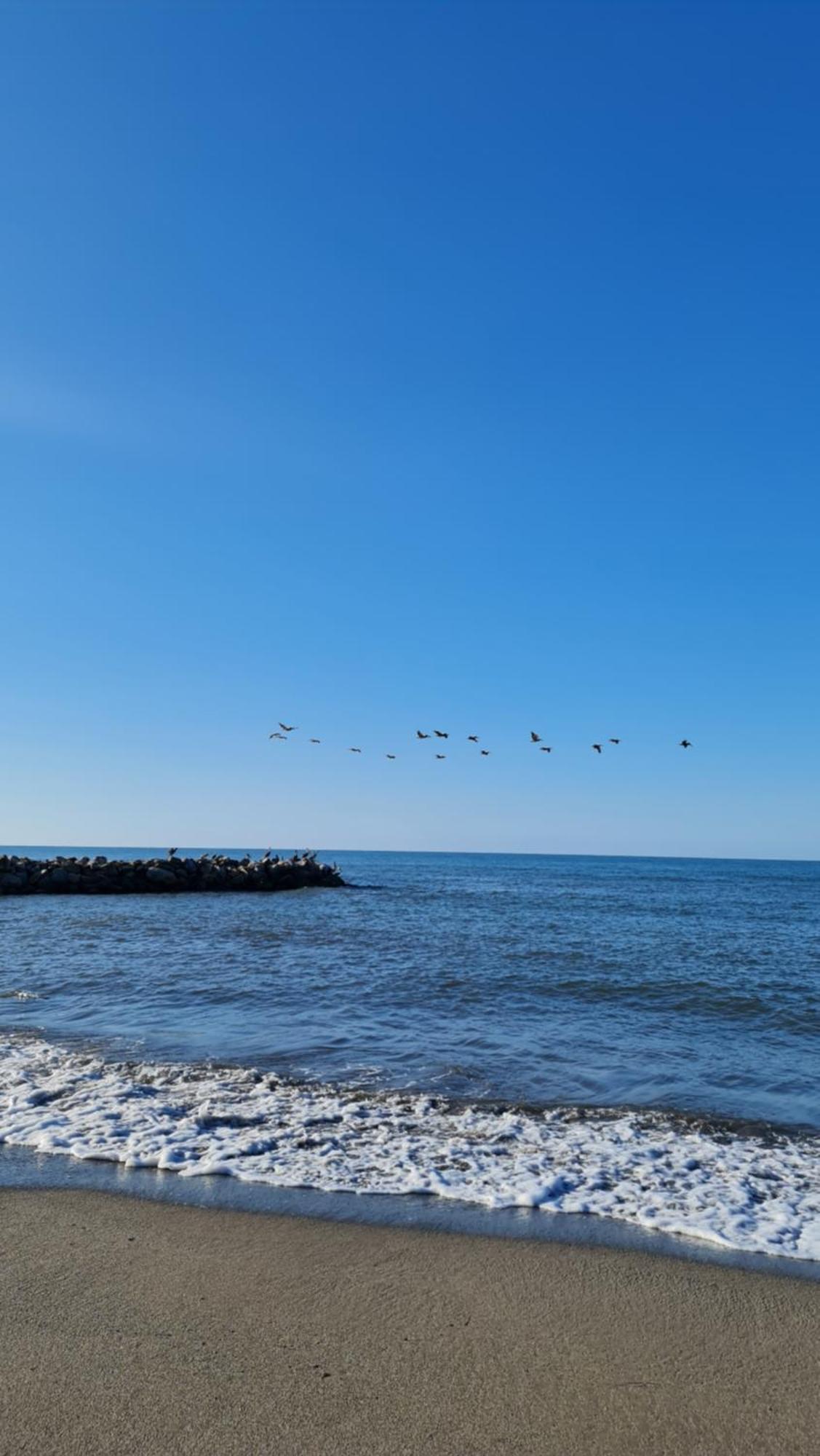 Hotel Partenon Beach La Ceiba Exterior photo